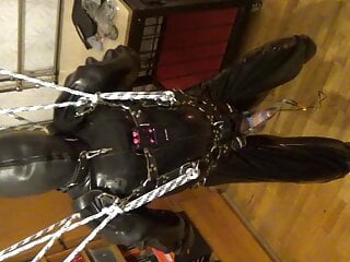 Suspended Rubberslave Gets A Cbt By Estim free video
